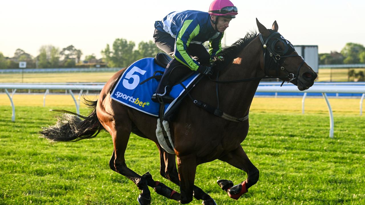 Caulfield Cup barriers: Luck with Buck, but for Yass it’s a no