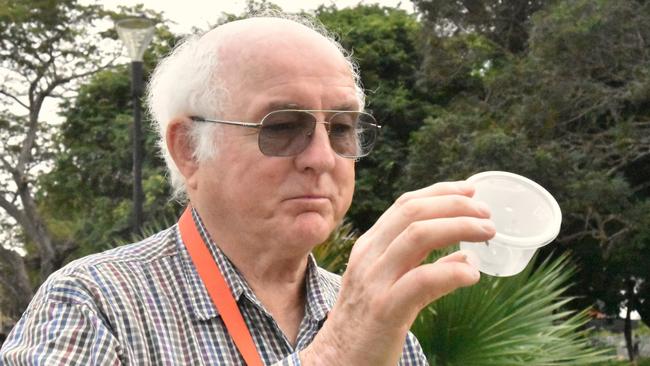 Principal Entomologist Brian Thistleton releases mealybug ladybirds (cryptolaemus) into a frangipani tree to target problematic mealybugs.