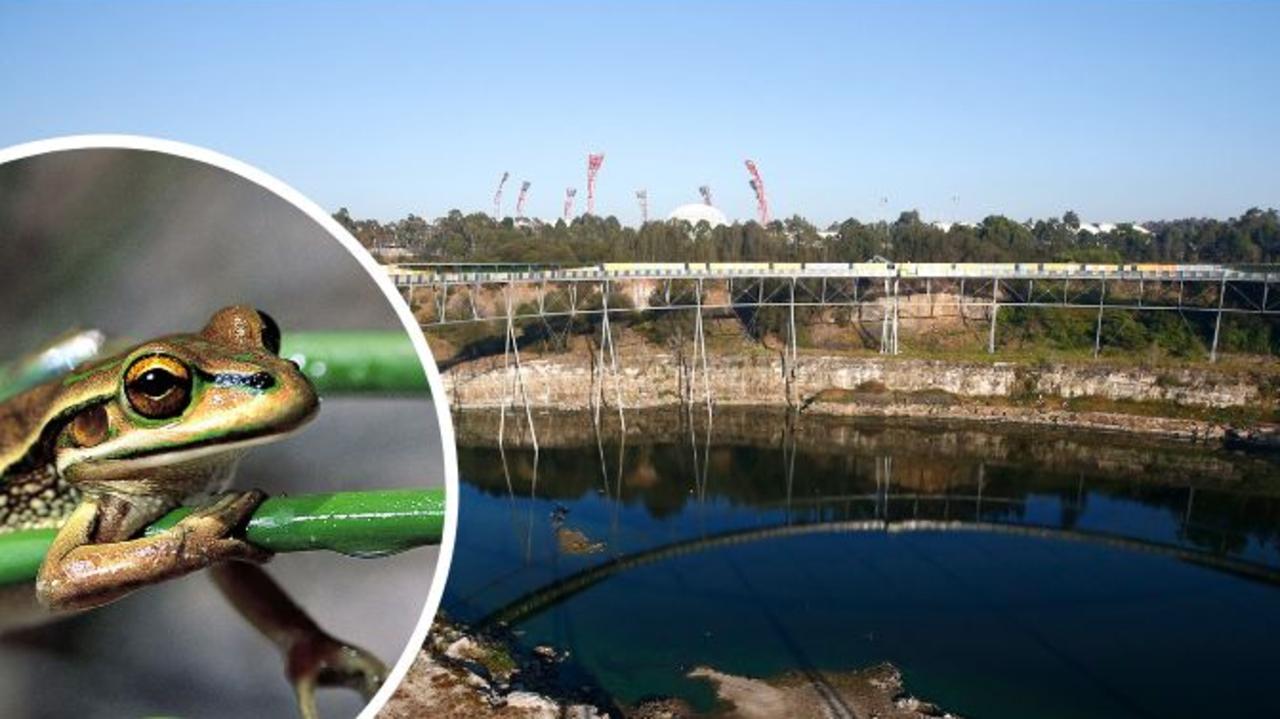 Endangered frog can coexist with new Olympic Park racecourse