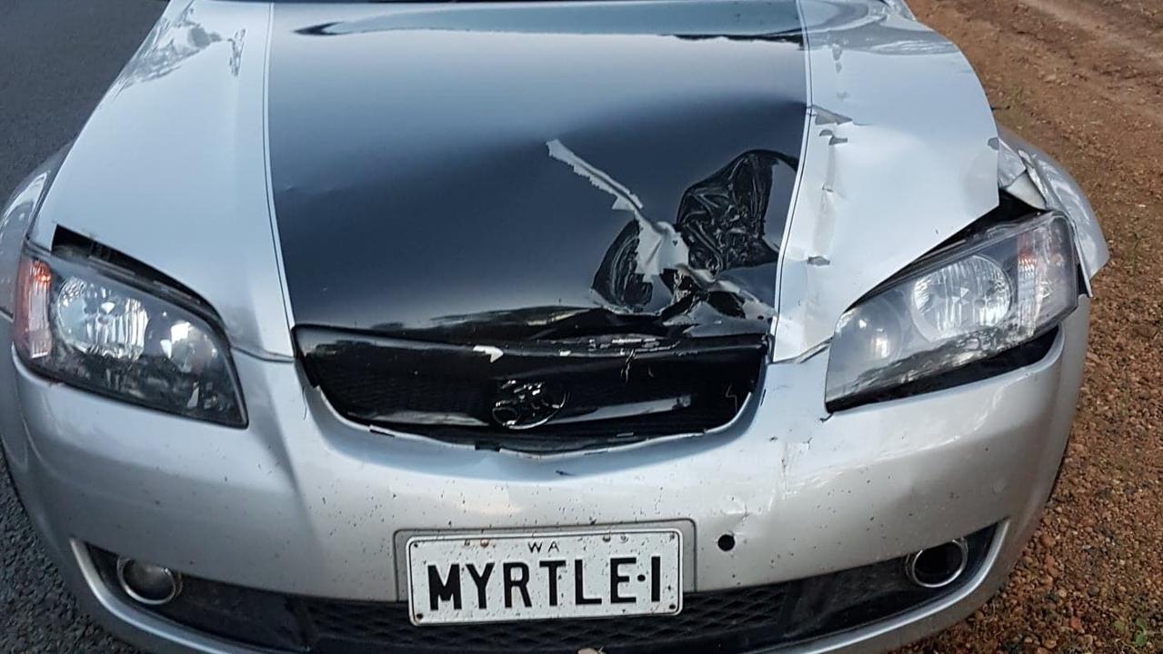 It was the first time Miss O'Connell had hit a roo — although she has been a passenger in plenty of other cars that have also collided with the animals. Picture: Supplied