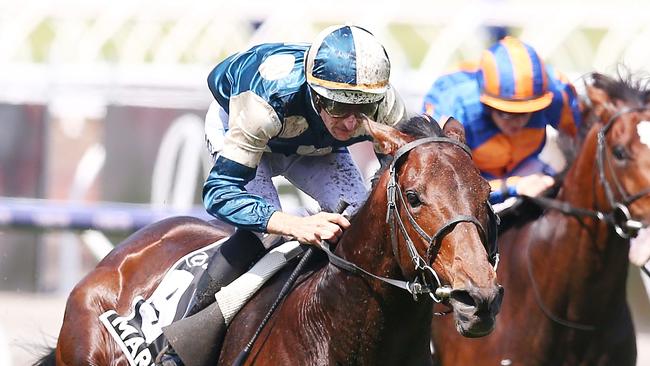 Marmelo finished second in the 2018 Melbourne Cup. Picture: Getty Images