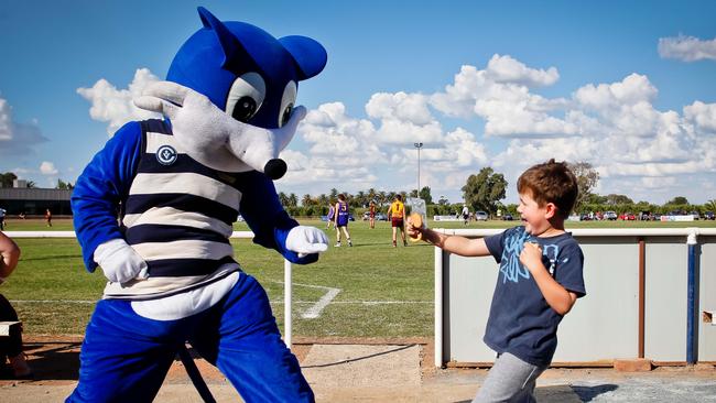 Ardmona’s mascot Billy the Bush Cat back in 2013.