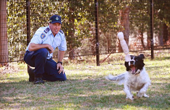 Harry being rewarded for his good work. Picture: Adam Yip