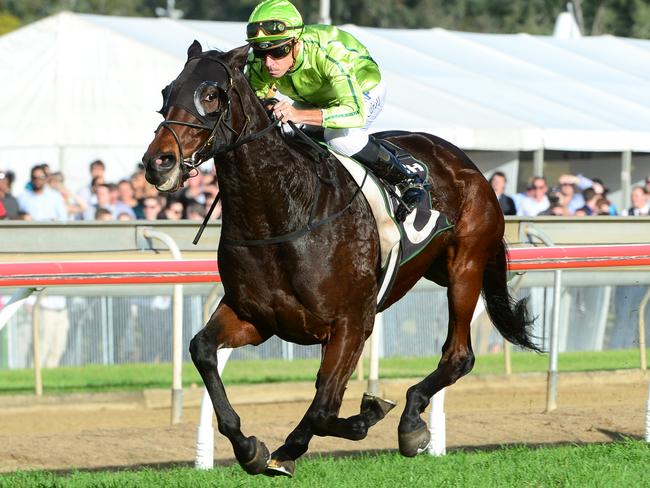 Self Sense gaps them in the Ipswich Cup. Picture: Grant Peters, Trackside Photography