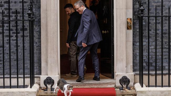 Prime Minister Keir Starmer and Ukraine President Volodymyr Zelensky watch Larry the cat walk on the red carpet at Downing Street on October 10 in London. Picture: Getty Images