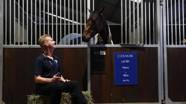 Security guard Oldrich Jiricka is in charge of looking after Winx’s filly. Picture: Jonathan Ng