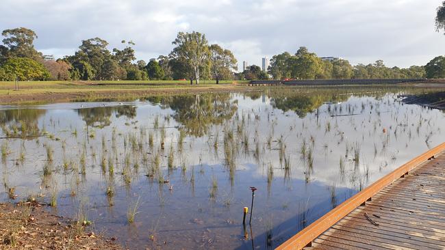 AFTER: The Victoria Park wetlands on June 1. Picture: Colin James