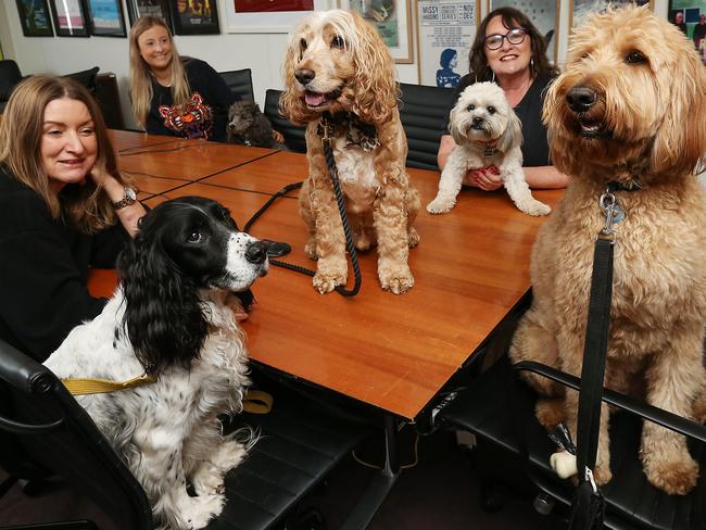 Julia Hill with Doris (front left), Tess Whitford and Buzz (rear left), Eloise Granville, Tucker (on table) and Ted (front right). Picture: Ian Currie