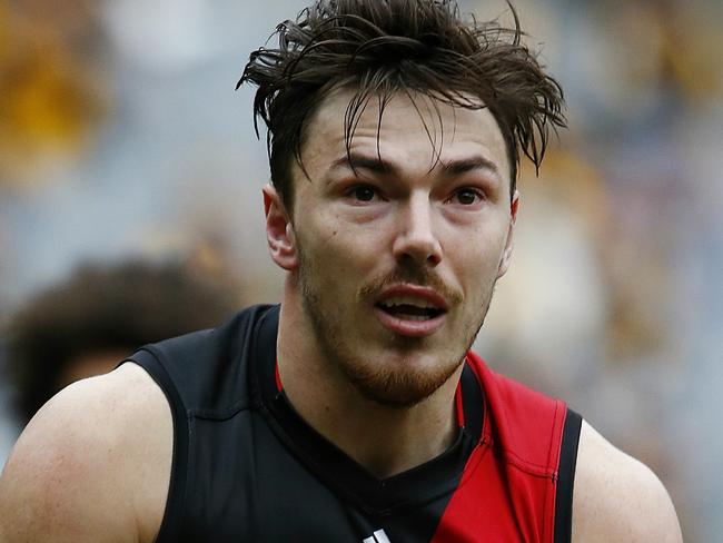 Hawthorn v Essendon Michael Hibberd Picture :Wayne Ludbey