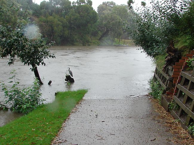 <p>The Yarra River at St Kevin's Rowing Sheds off Yarra Blvd.</p> <p>Picture: Patrick Kelly</p>