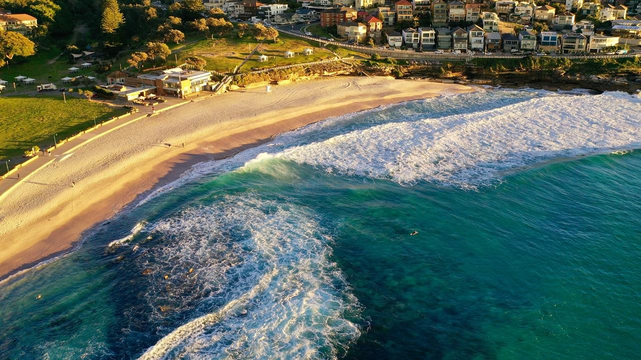 Lurking danger in beach photo