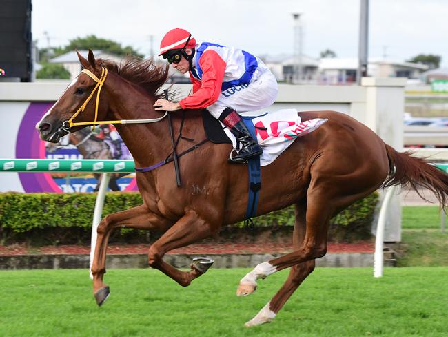 Jockey Jeff Lloyd rides Mishani Vaidra to victory in race 9, the Hit105 No Metro Wins Handicap, during Tattersall's Raceday at Doomben Racecourse in Brisbane, Saturday, March 2, 2019. AAP Image/Trackside Photography, Grant Peters.