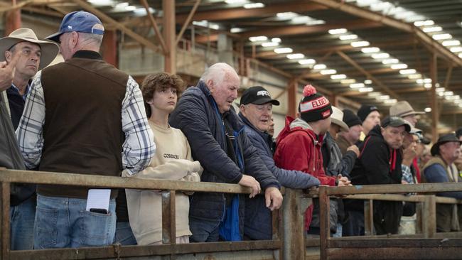 Buyers and vendors gather at the rail during the Pakenham cattle sale. Picture: Zoe Phillips