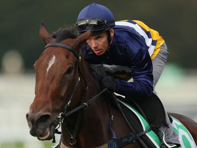 SYDNEY, AUSTRALIA - APRIL 09: Tim Clark rides Devine Force during TAB Trackwork with the Stars at Royal Randwick Racecourse on April 09, 2024 in Sydney, Australia. (Photo by Mark Metcalfe/Getty Images)