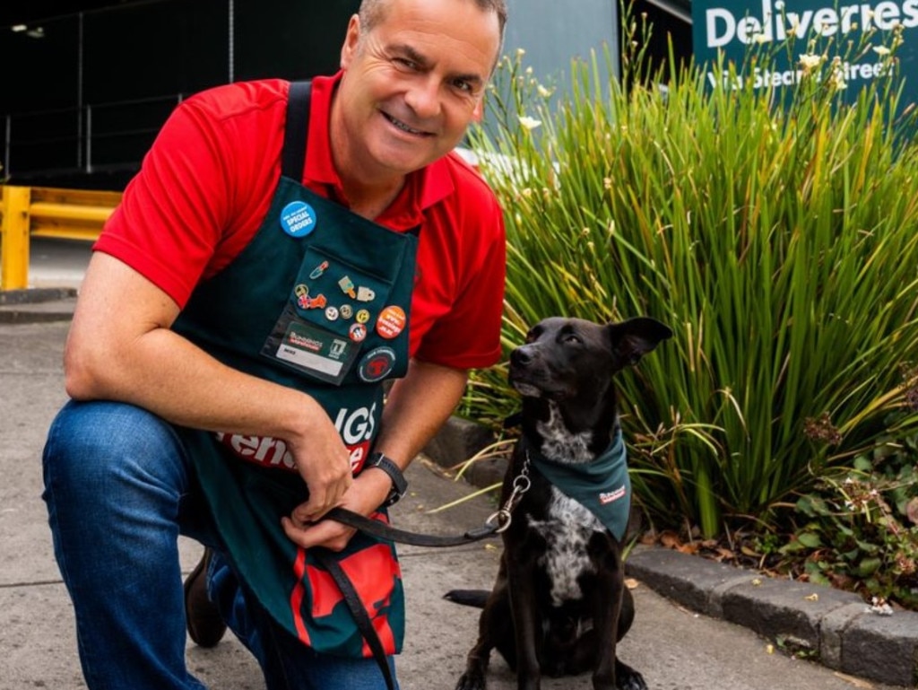 Dog hotsell leash bunnings