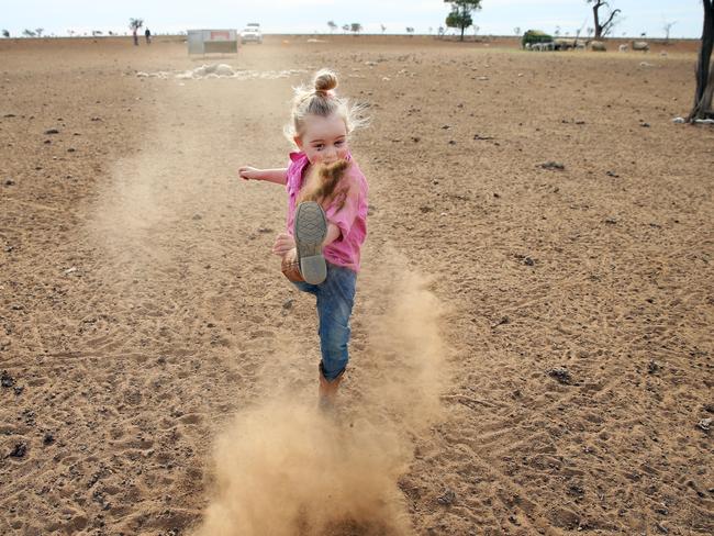 Eve Holcombe, 3, on her family’s 6900 hectare property near Walgett, which is suffering from its worst dry spell. Picture: Sam Ruttyn