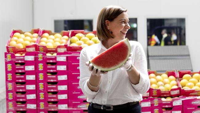 Queensland opposition LNP leader Deb Frecklington. Picture: NCA NewsWire / Sarah Marshall