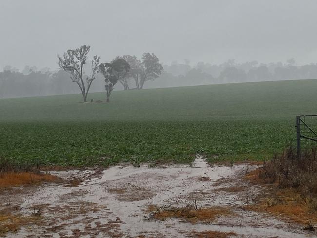 Rain across much of southern NSW and Victoria has delivered an early winter drenching in the face of El Nino predictions.