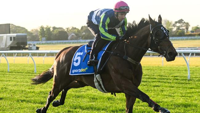 Eliyass will take his place in Saturday’s Doomben Cup Picture: Getty Images