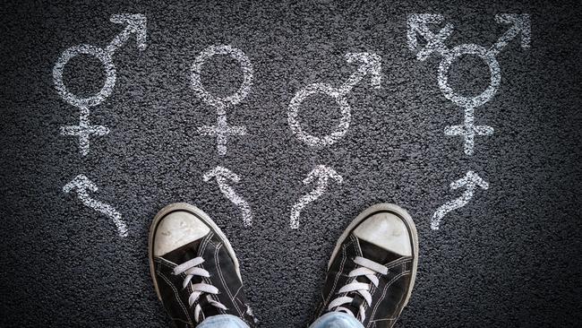 The Victorian government wants to expand anti-vilification laws to include disability, gender identity, sexual characteristics, and sexual orientation. Picture: iStock