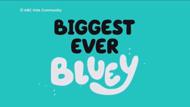 28 minute Bluey episode trailer