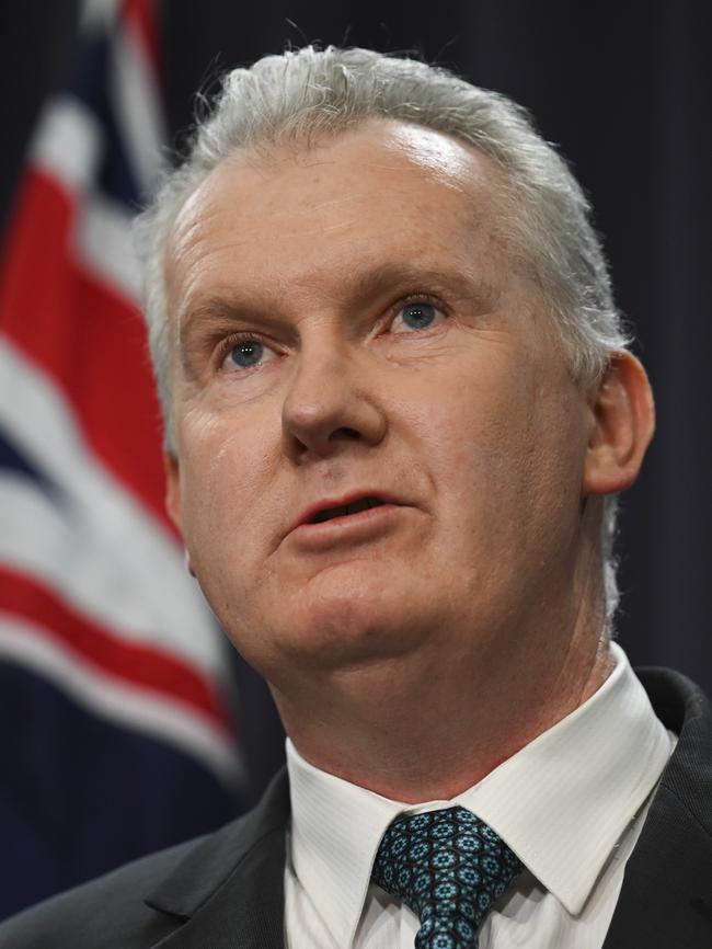 Home Affairs Minister Tony Burke. Picture: Martin Ollman