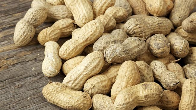 Peanut allergy cure may be on its way