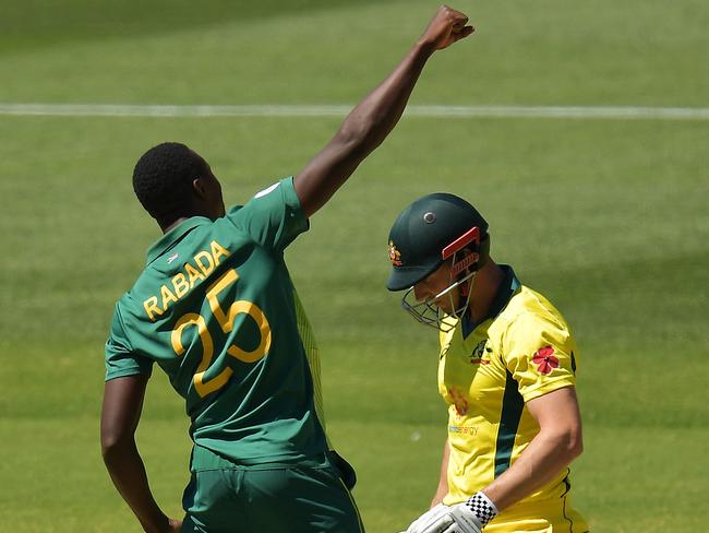 Kagiso Rabada celebrates the wicket of Shaun Marsh.