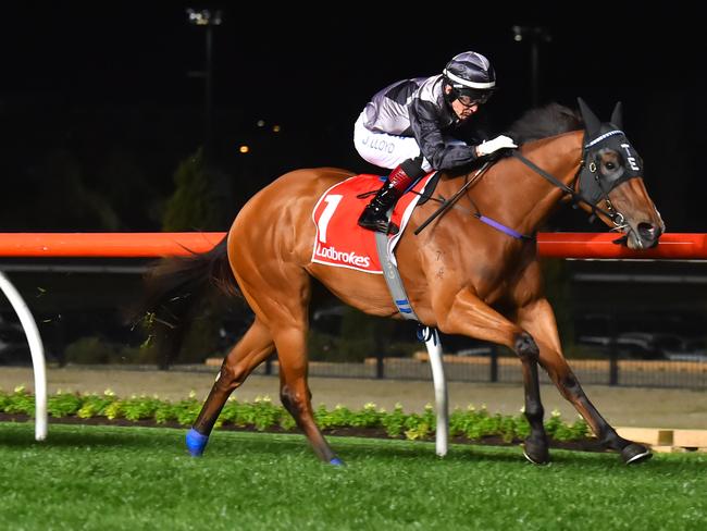 MELBOURNE, AUSTRALIA - SEPTEMBER 29:  Jeff Lloyd riding Houtzen wins Race 3 , Scarborough Stakes during Melbourne Racing at Moonee Valley Racecourse on September 29, 2017 in Melbourne, Australia.  (Photo by Vince Caligiuri/Getty Images)