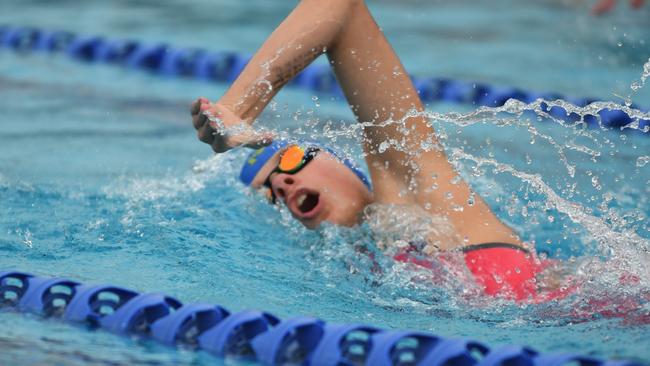 Gympie region champions of the pool: Vanessa North from Gympie Gold Fins. Photo: Contributed