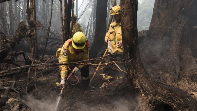 Firefighting crews at Tahune Airwalk. Picture: WARREN FREY/TFS