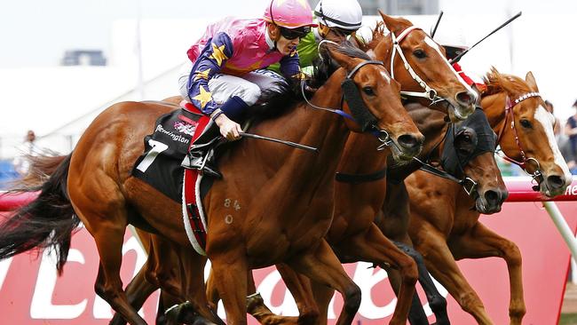 De Little Engine ticks a lot of boxes going in the two-mile Andrew Ramsden Stakes at his home track, Flemington. Picture: Colleen Petch