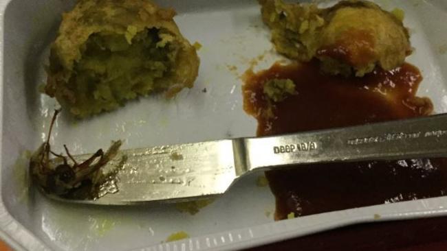 Rahul Raghuvanshi tweeted this picture of a cockroach in his meal. Picture: Twitter/BostonNewsHound