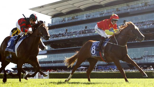 Invader will chase back to back Group 1 wins in the Champagne Stakes on Saturday.