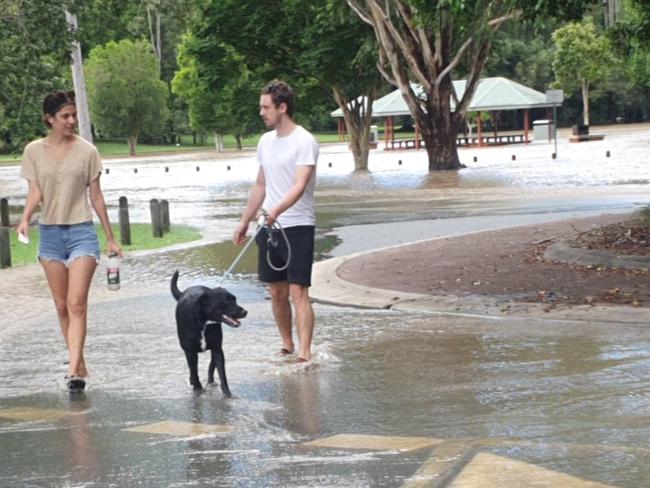 Madison Mitchell, 24, and Tyler Biddlecombe, 25, of Tanah Merah, brought 4-year-old Frankie down to check out their local dog park only to find it deep underwater. Alexander Clark Park, Loganholme. Picture: Supplied