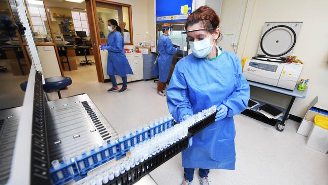 Medical scientist Belinda Price moves vials of coronavirus test samples into a machine to be analysed at the SA Pathology laboratory on Frome Road Adelaide, Wednesday April 22, 2020. Picture: Mark Brake