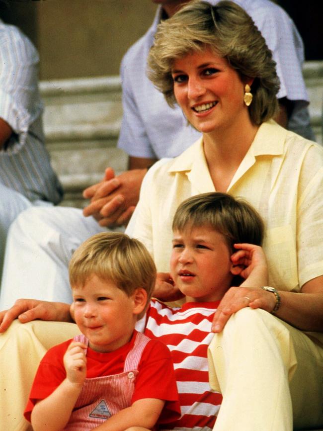 Diana, Princess of Wales with sons Prince William and Prince Harry. Picture: Jim Bennett