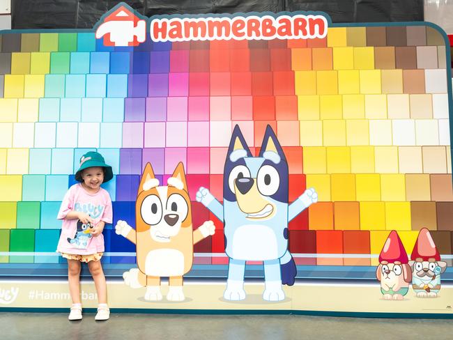 Bunnings and BBC Studios collaborated in February to transform seven warehouses into Hammerbarn, based on an episode of TV animation Bluey.