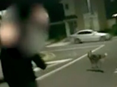 A Filipino family have been chased by a man’s dog and told to take the coronavirus “back to China” in a racist attack in an Auckland neighbourhood. Picture: Supplied