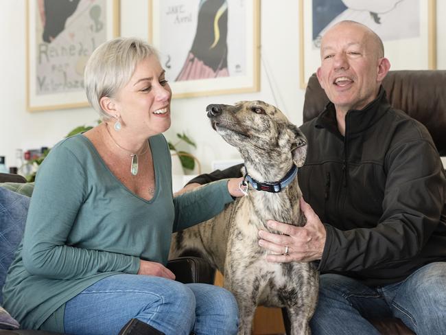 Kylie Miller and husband Brett with Teddy the Greyhound. Picture: Jessica Shapiro