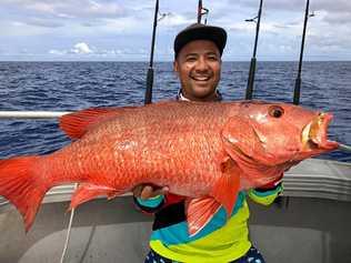 MONSTER CATCH: Keen angler Todo nabbed a huge, 91cm mangrove jack near Double Island Point recently. Picture: Double Island Point Fishing