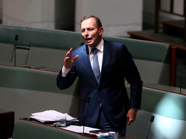 Tony Abbott during the debate on the Marriage Amendment (Definition and Religious Freedoms) Bill 2017 in the House of Representatives. Picture: Kym Smith