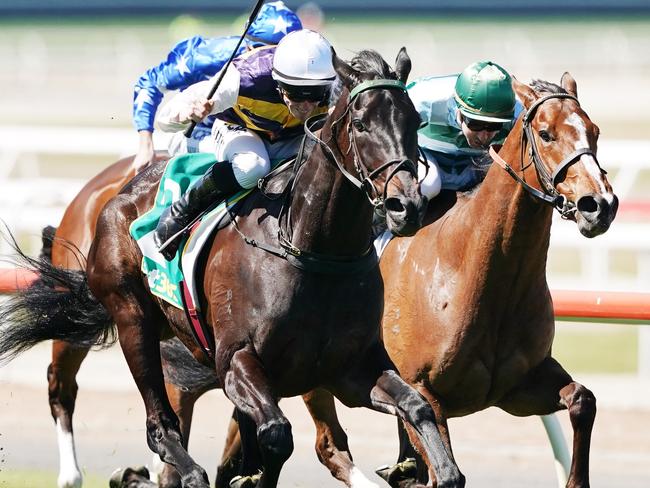 Harbour Views wins on Geelong Cup Day. Picture: AAP