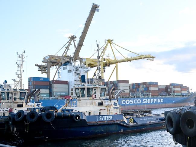 Svitzer tug boats at Port Botany. Picture: Jeremy Piper