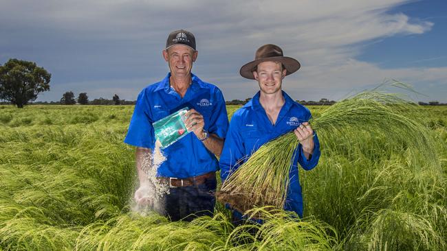 Shane and son Fraser McNaul run Outback Harvest, value-adding their crop of teff into a variety of products including flour.