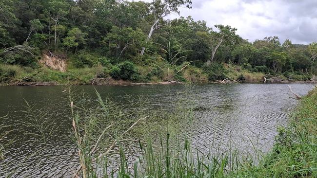 The Rossville location where the crocodile was seen. Photo: DETSI