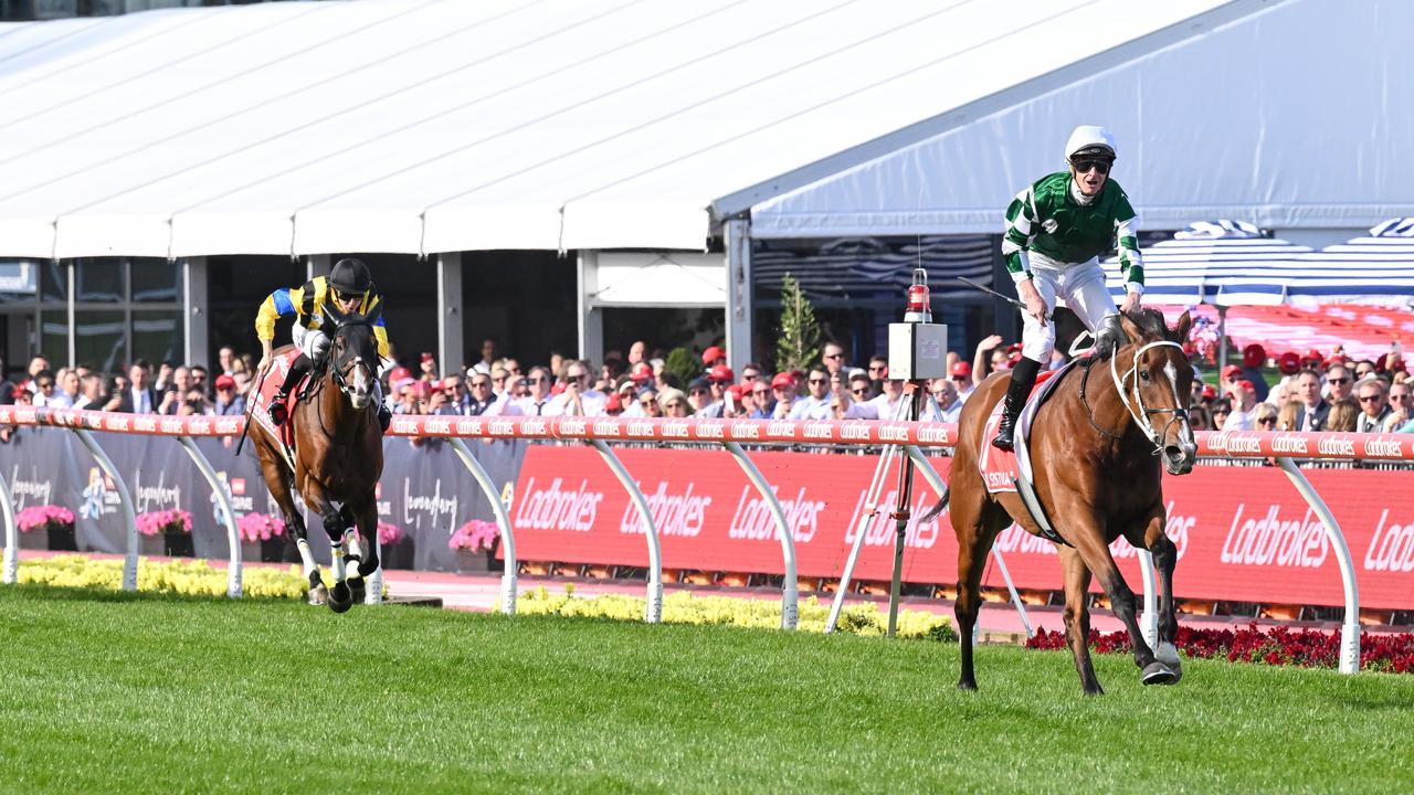 Via Sistina trounces her opponents in the Cox Plate on Saturday. Photo: Reg Ryan/Getty Images.