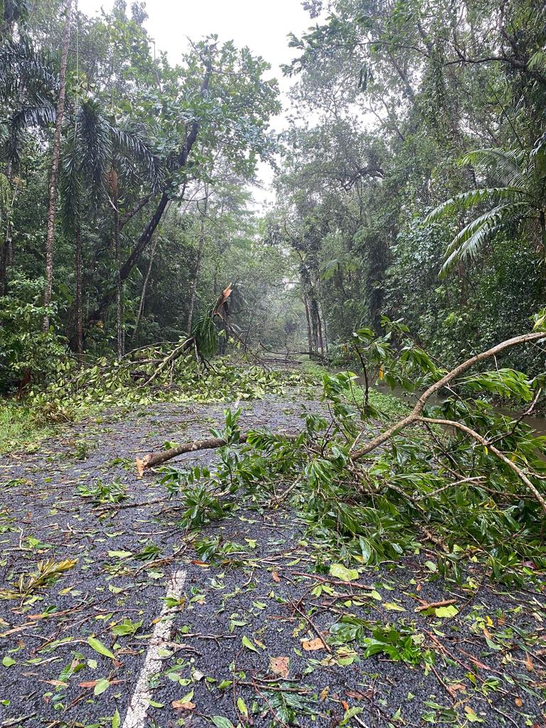 Road blockage in the Daintree. Picture: Supplied