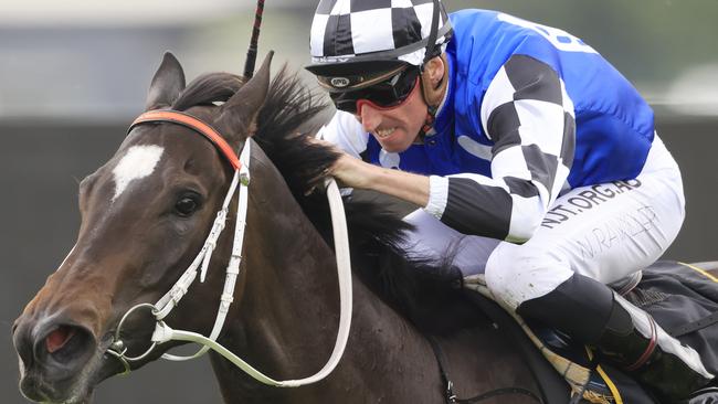 Enchanted Heart in race 4 is Duff’s best bet at Randwick. Picture: Mark Evans/Getty Images