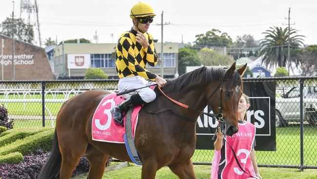 Clear Thinking put in a head-turning debut performance at Scone on Tuesday. Picture: Bradley Photos